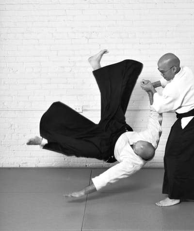 Yushinkan in Motion by Noah Landow, photograph 8 of 8