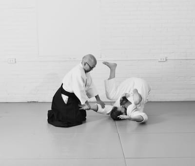 Yushinkan in Motion by Noah Landow, photograph 5 of 8